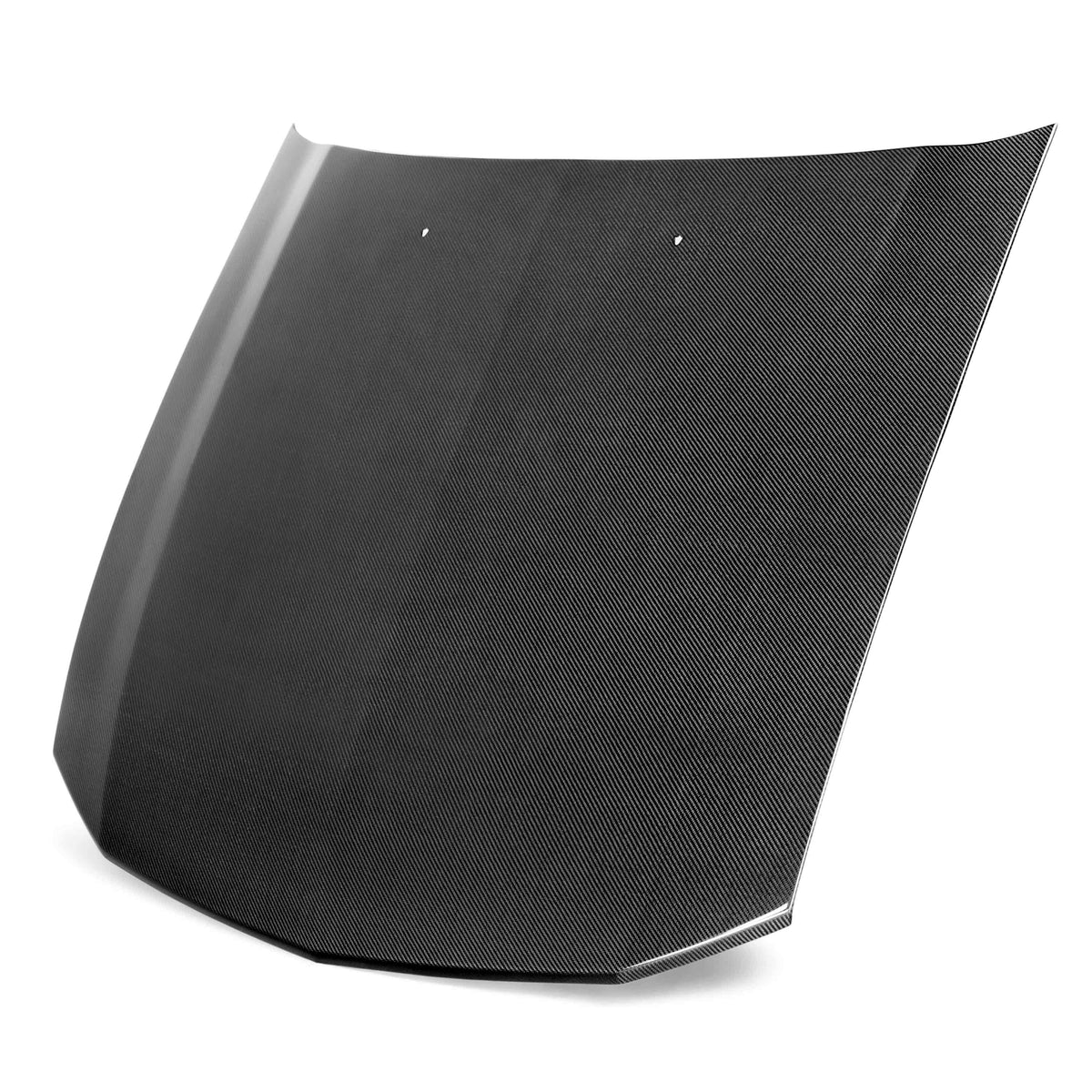 Type-OE carbon fiber hood for 2005-2009 Ford Mustang