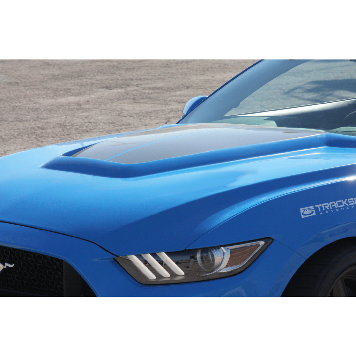 Type-GR (GT350 Style) fiberglass hood for 2015-2017 Ford Mustang