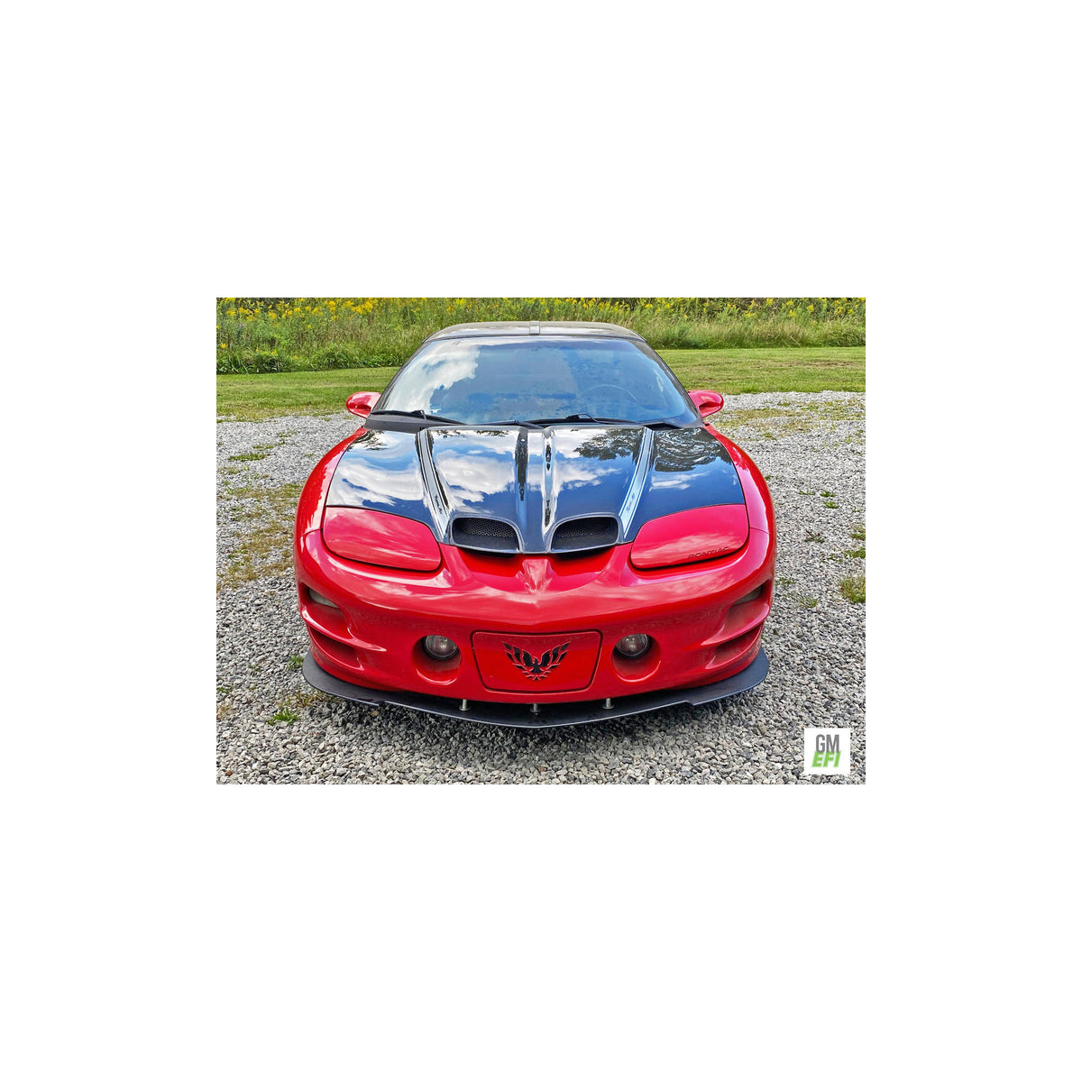 Type-OE carbon fiber hood for 1998-2002 Pontiac Trans Am
