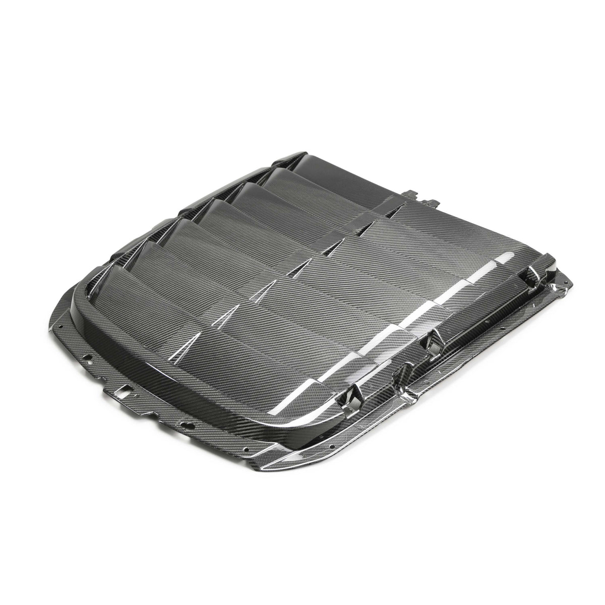 2020-22 GT500 CARBON FIBER HOOD VENT KIT