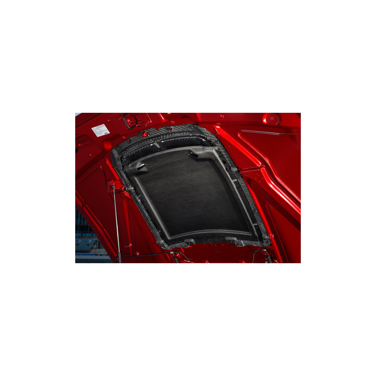 2020-22 GT500 CARBON FIBER HOOD VENT KIT