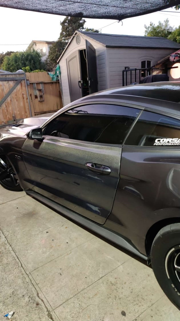 S550 Carbon Fiber Doors