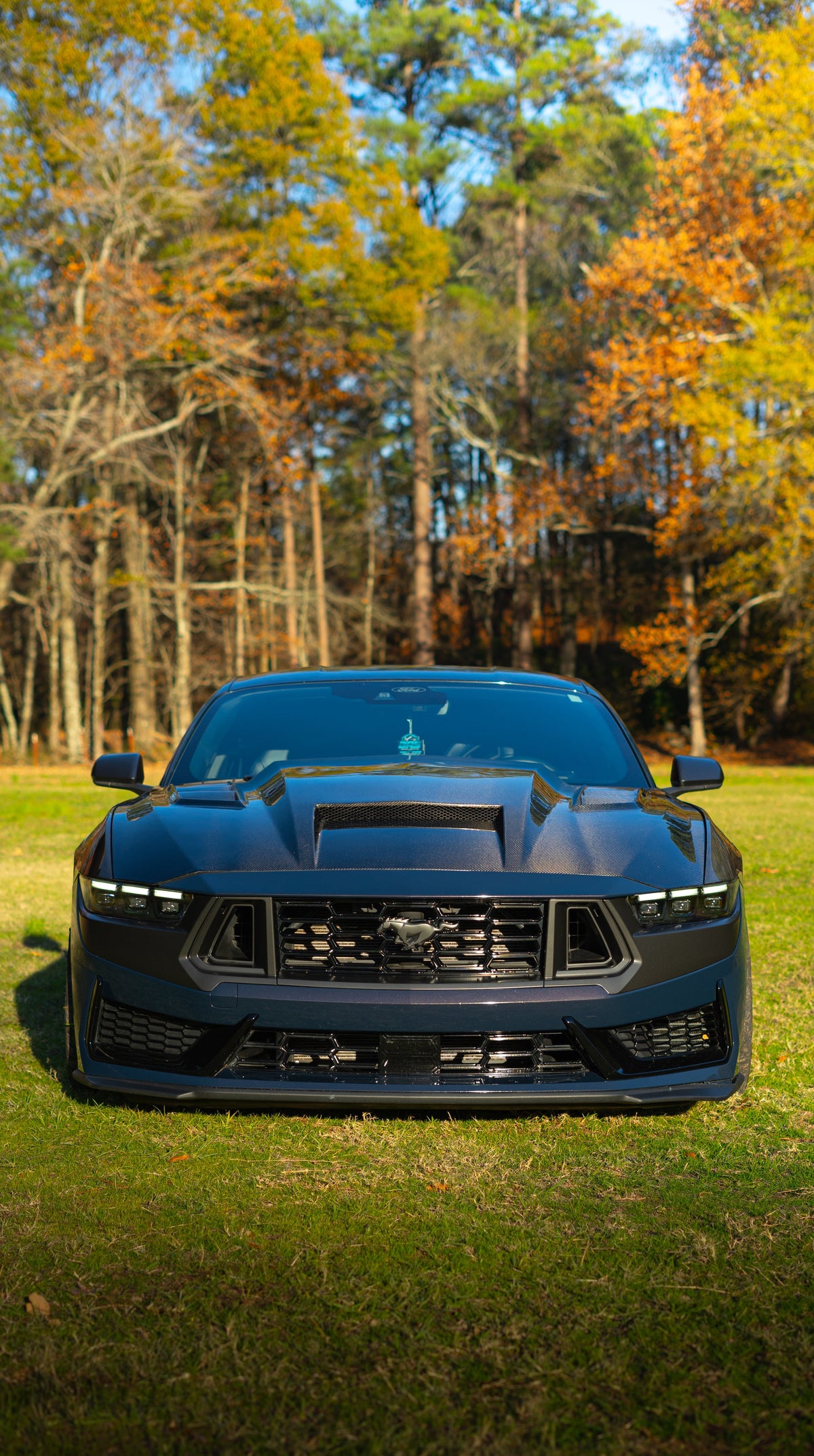 2024+ Double Sided Carbon Fiber Hood