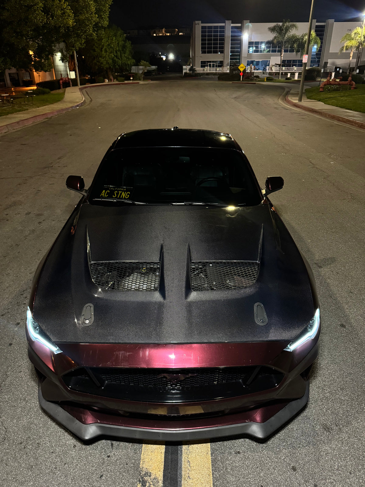 2018 - 2023 Mustang GTD Carbon Fiber Hood