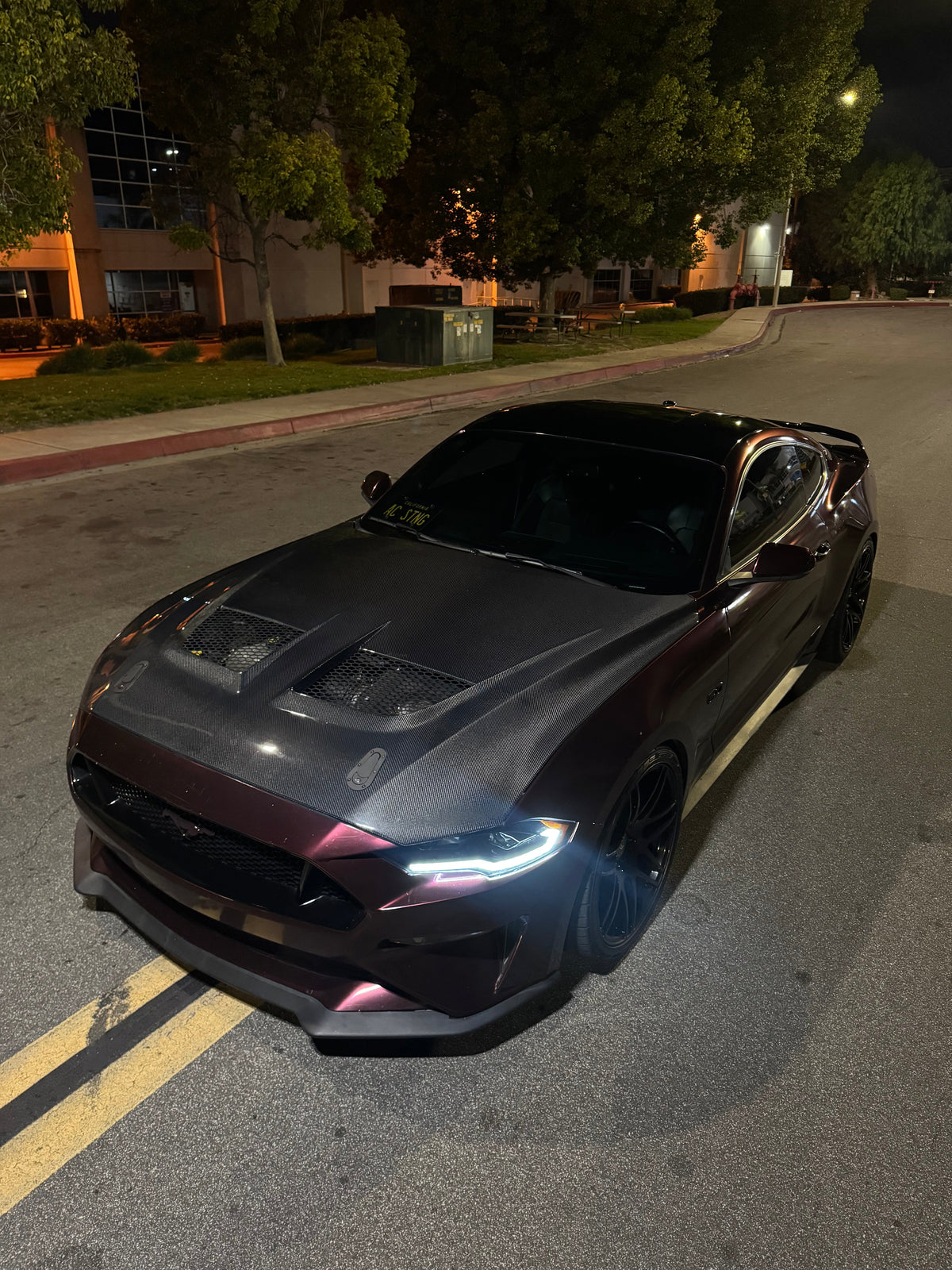 2018 - 2023 Mustang GTD Carbon Fiber Hood
