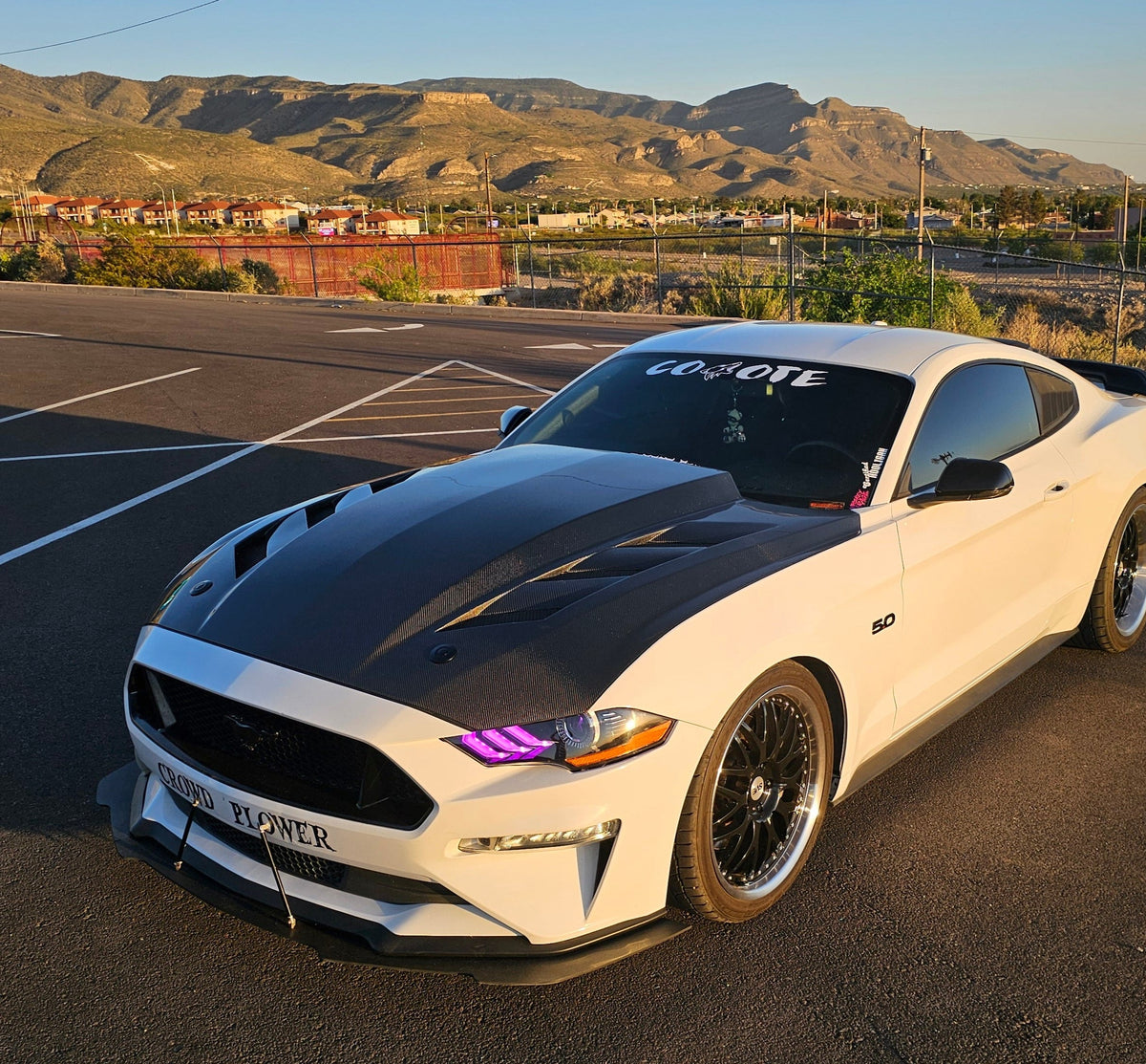 2015-2023 Mustang Carbon Fiber Viper AMS hood
