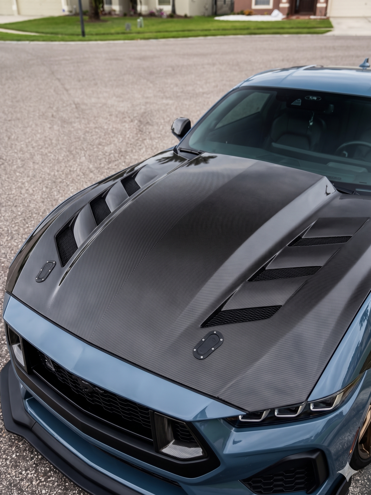 2024+ Mustang Carbon Fiber Viper Hood