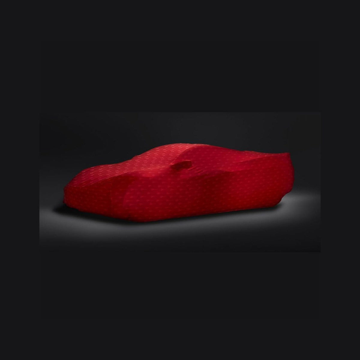 C8 Stingray Car Cover Red