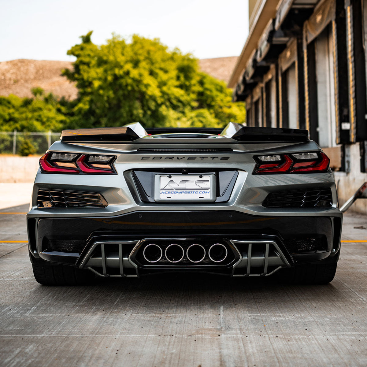 C8 Z06 GS E-Ray License Plate Filler