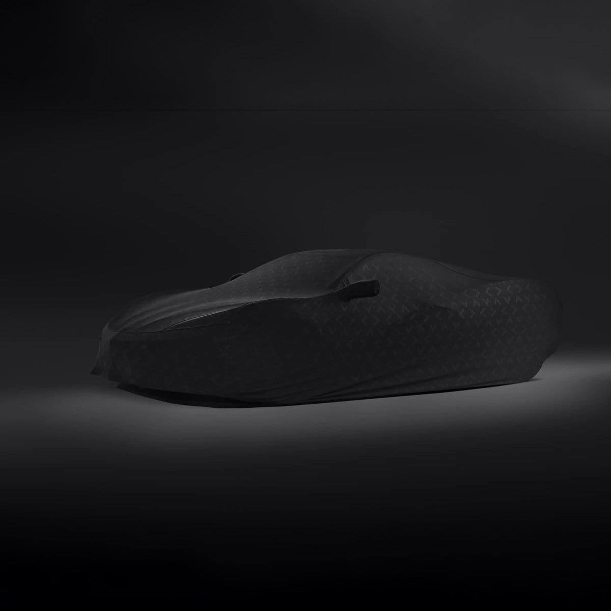 C8 Stingray Car Cover