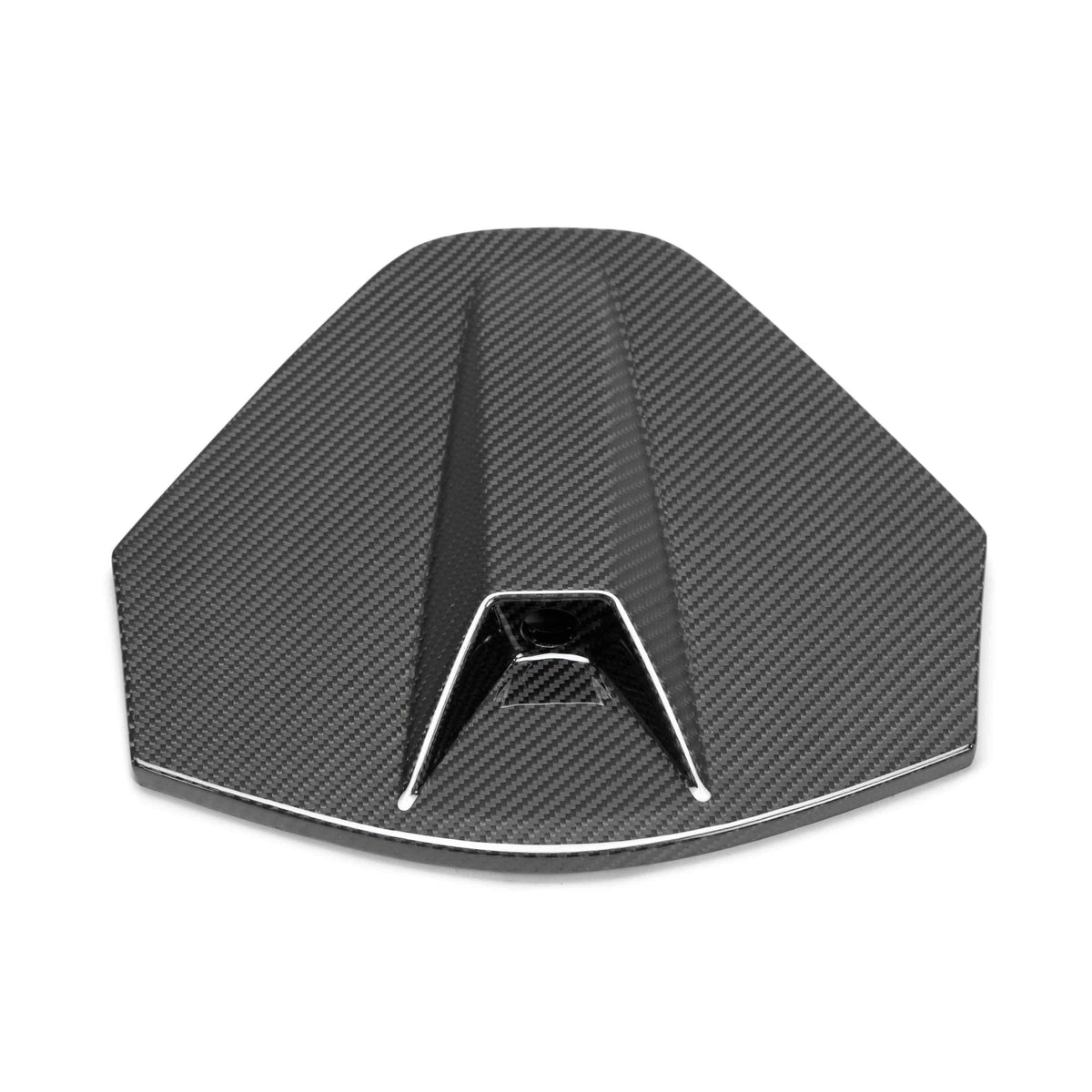 Carbon fiber rear camera decklid housing panel for 2020-2025 Chevrolet C8 (coupe) (w/location for camera)