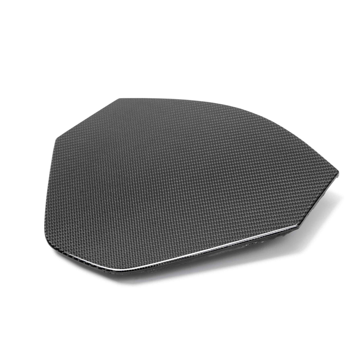 Carbon fiber decklid housing panel for 2020-2025 Chevrolet C8 (coupe)