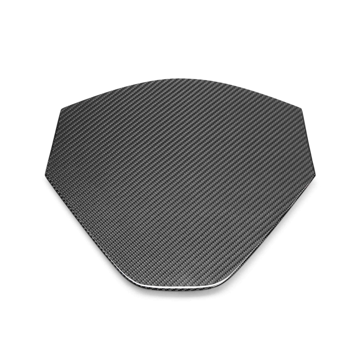 Carbon fiber decklid housing panel for 2020-2025 Chevrolet C8 (coupe)