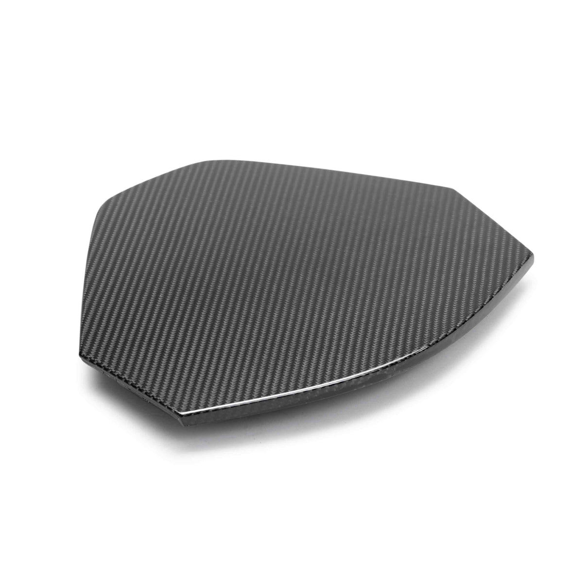 Carbon fiber decklid housing panel for 2020-2025 Chevrolet C8 (coupe)