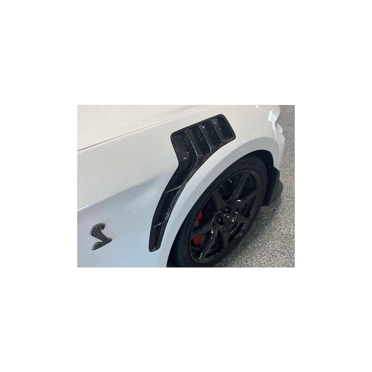Type-TPF carbon fiber track pack fenders for 2020-2022 Ford Mustang Shelby GT500
