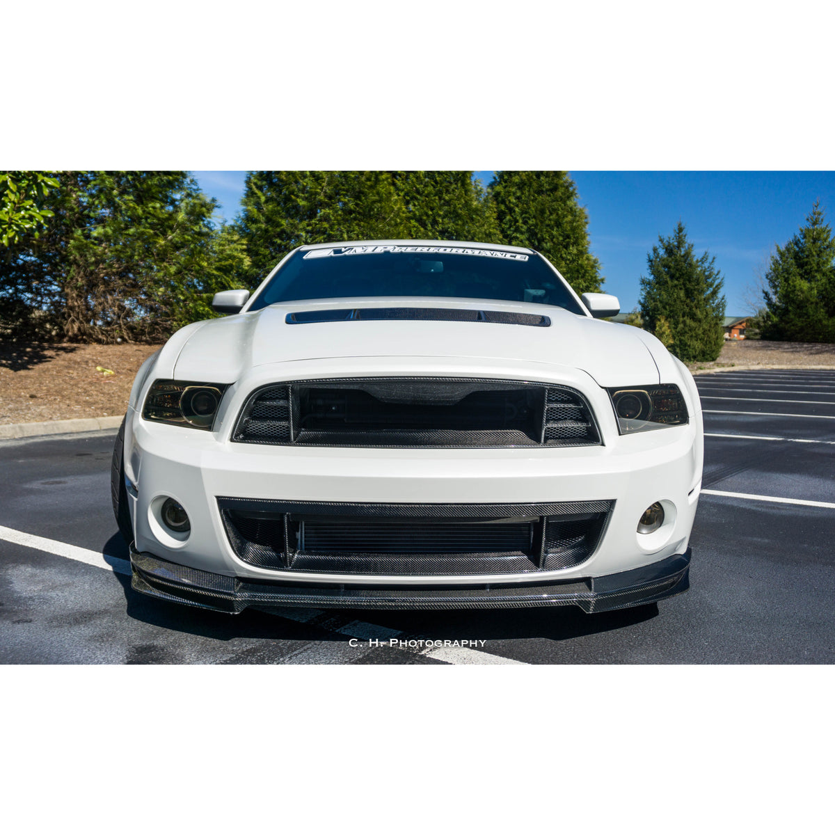 Type-OE carbon fiber front chin spoiler for 2010-2014 Ford Mustang Shelby GT500