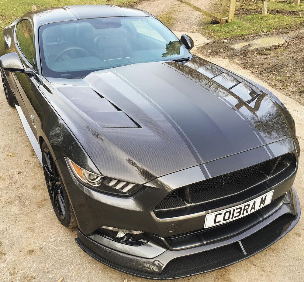 Heat extractor double sided carbon fiber hood for 2015-2017 Ford Mustang