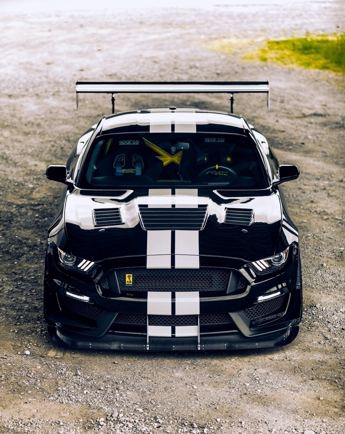 Type-CR dry carbon fiber hood for 2015-2020 Ford Mustang Shelby GT350 & GT350R