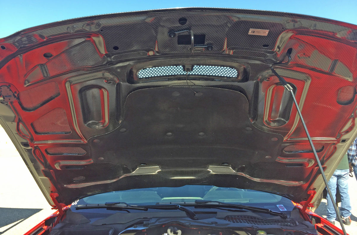 Double sided carbon fiber hood for 2015-2020 Ford Mustang Shelby GT350 & GT350R