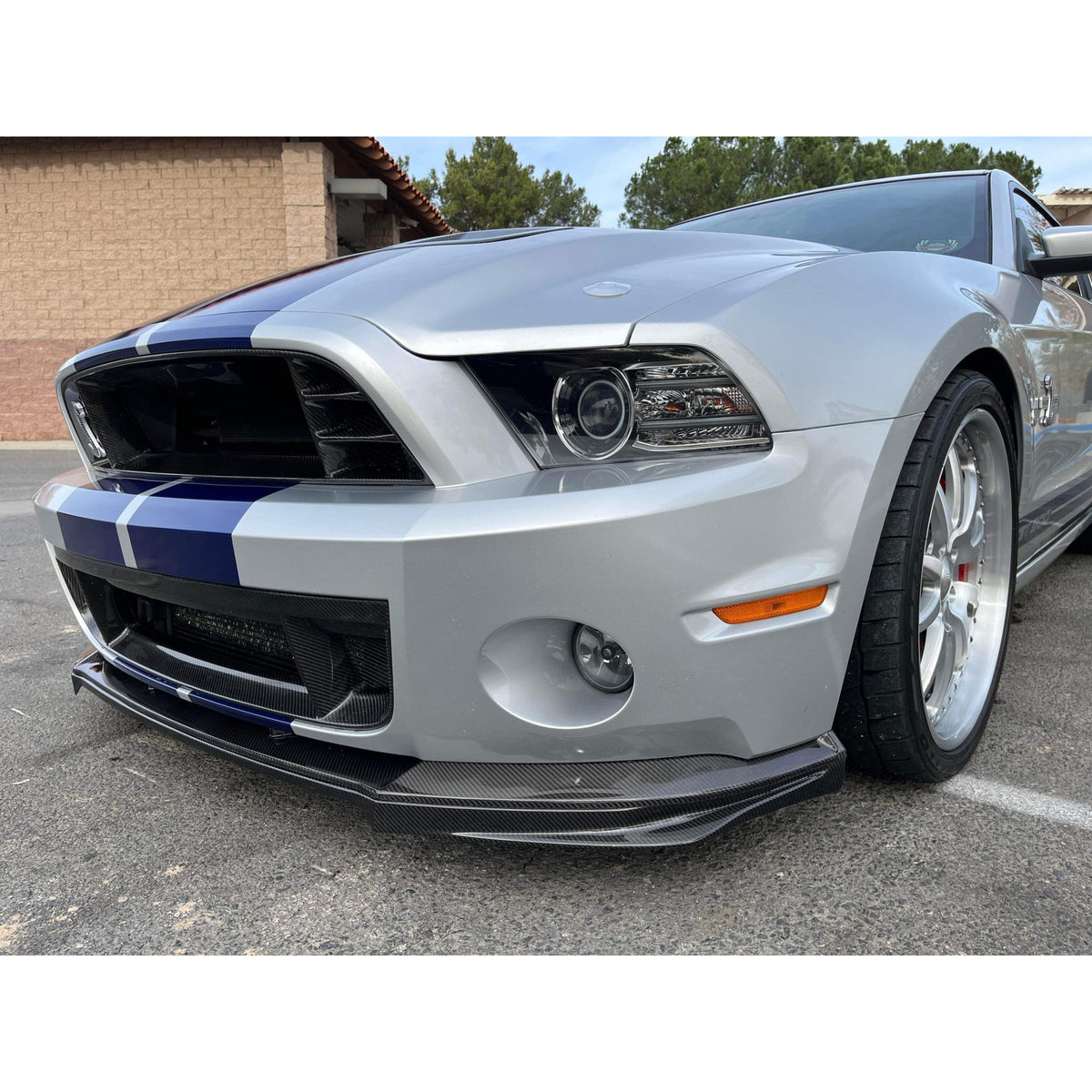 Carbon fiber front lower grille for 2013-2014 Ford Mustang Shelby GT500