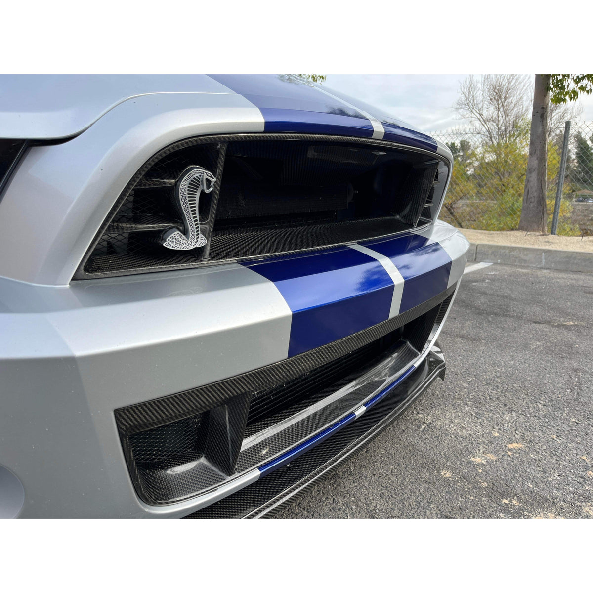 Carbon fiber front lower grille for 2013-2014 Ford Mustang Shelby GT500