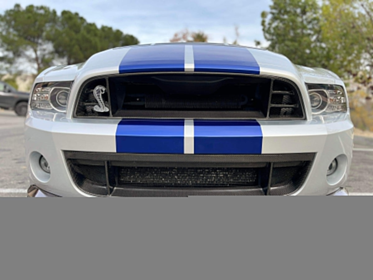 Carbon fiber front lower grille for 2013-2014 Ford Mustang Shelby GT500