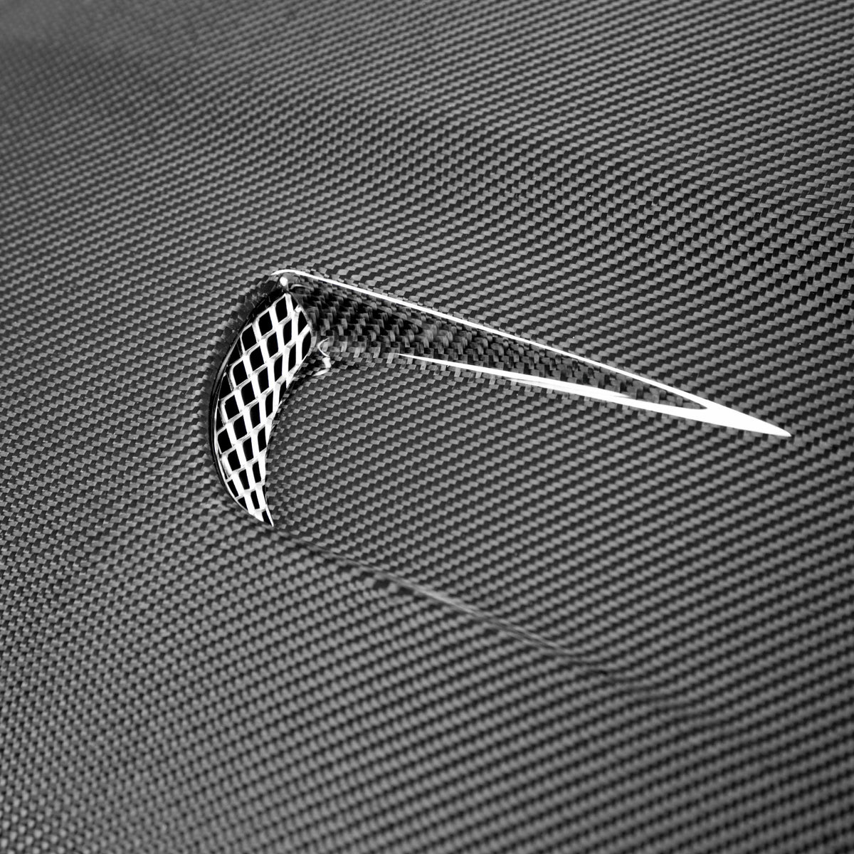 TM-Style Carbon Fiber hood for 2014-2019 Ford Fiesta