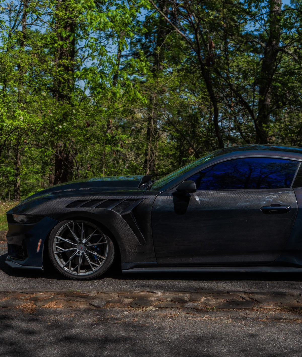 2024+ Mustang Carbon Fiber Doors