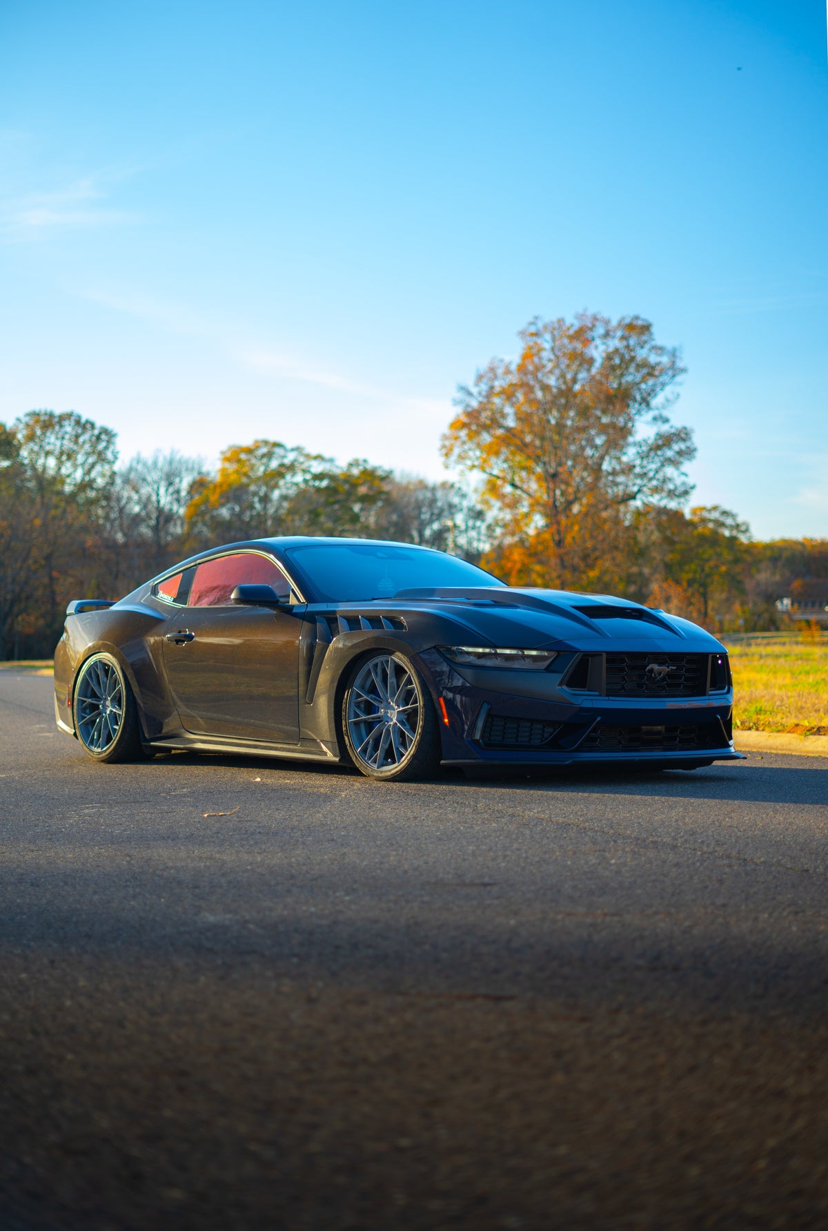 2024+ Double Sided Carbon Fiber Hood