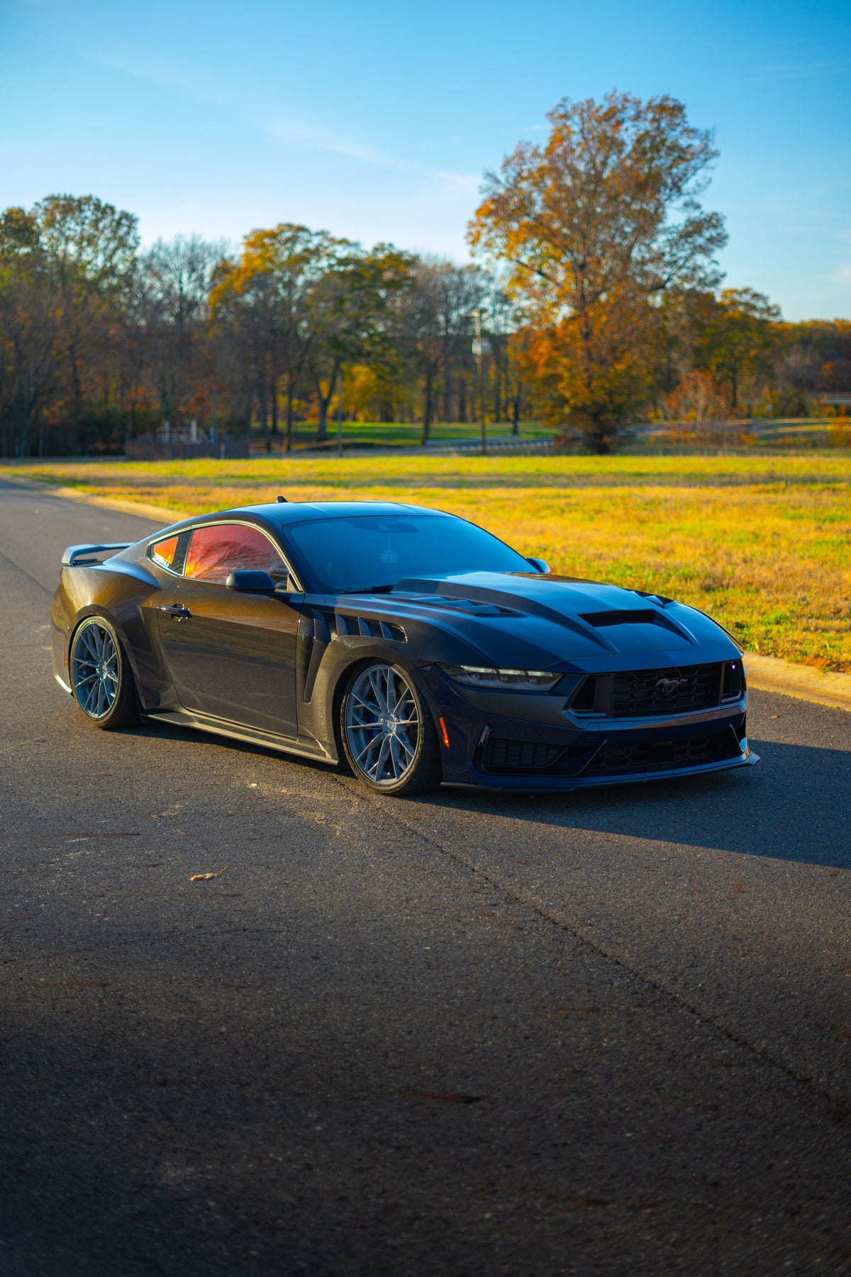 2024+ Double Sided Carbon Fiber Hood