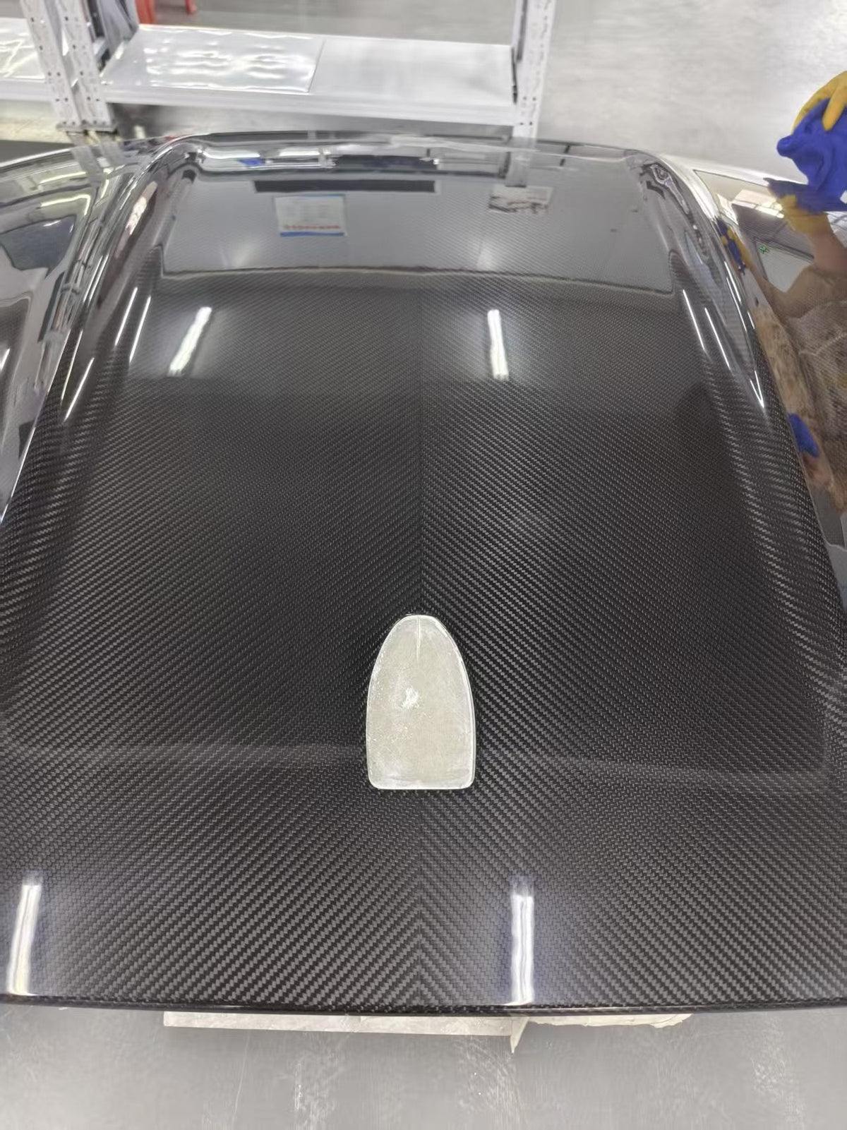 2015 - 2025 Mustang Dry Carbon Fiber Roof
