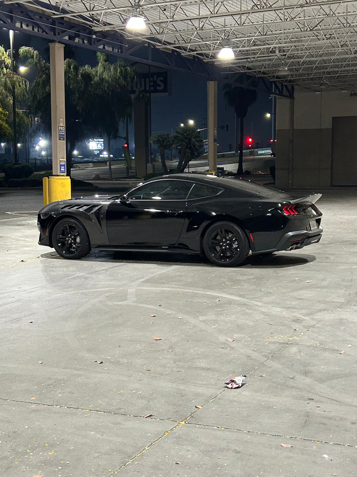 2024+ Mustang Carbon Fiber Ducktail Wing