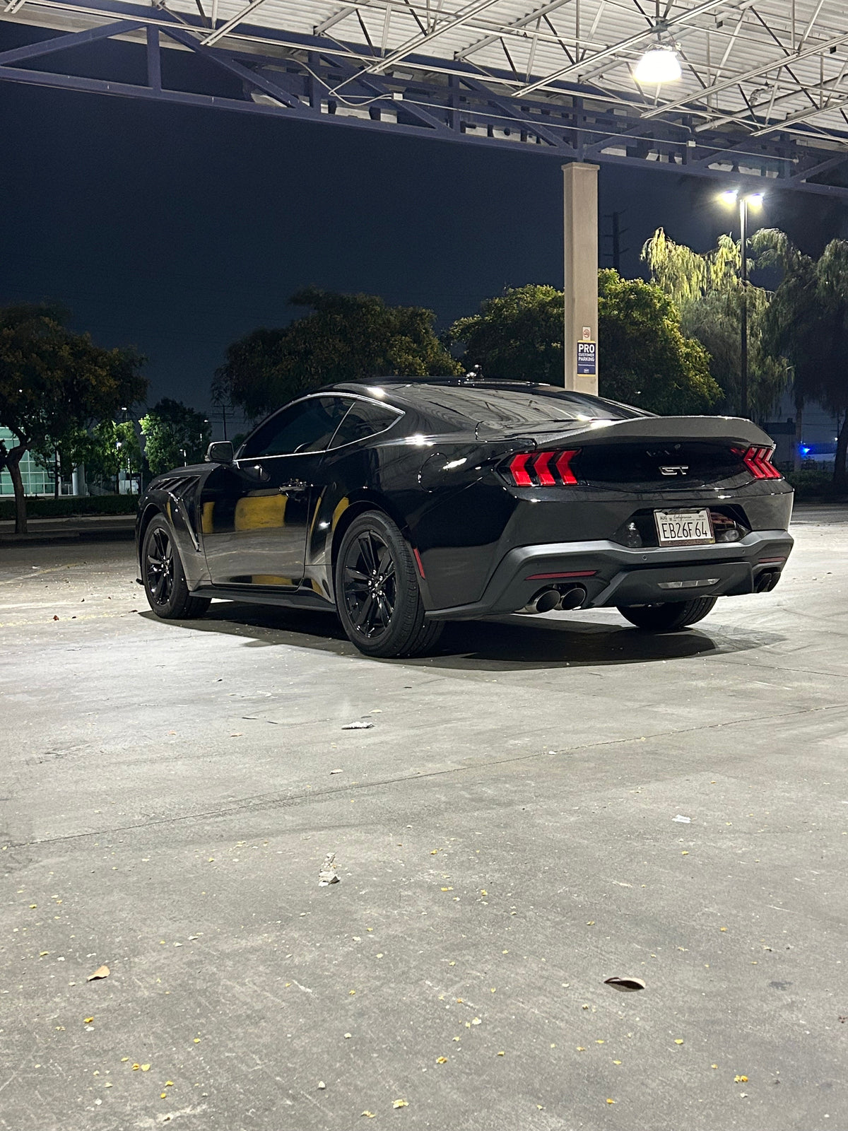 2024+ Mustang Carbon Fiber Ducktail Wing