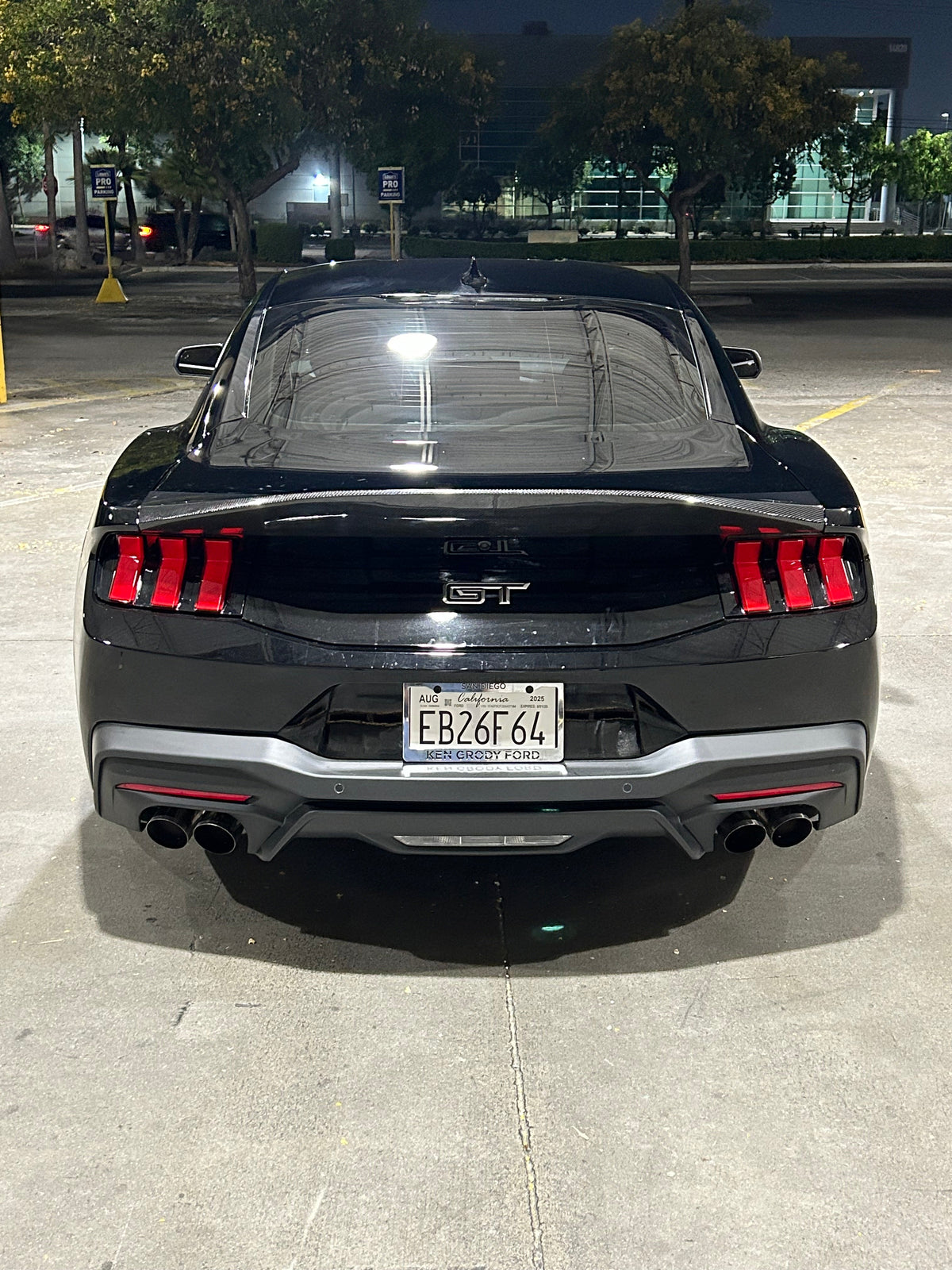 2024+ Mustang Carbon Fiber Ducktail Wing