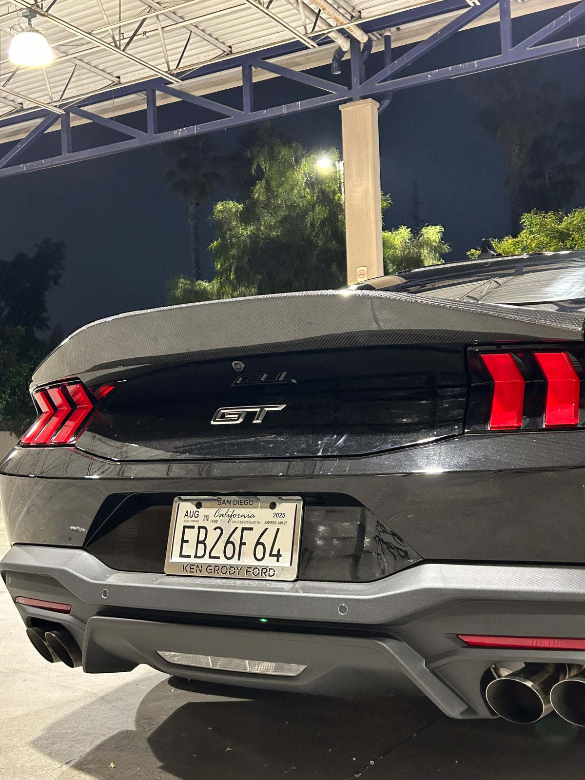 2024+ Mustang Carbon Fiber Ducktail Wing