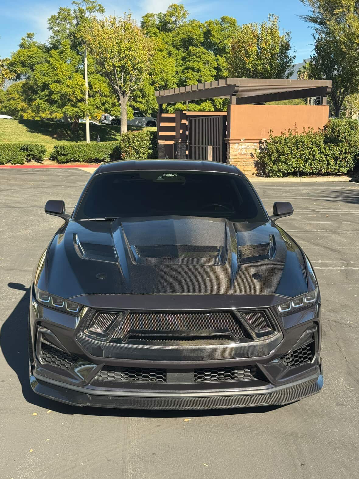 2024+ Mustang GT3 Carbon Fiber Front Bumper Grille