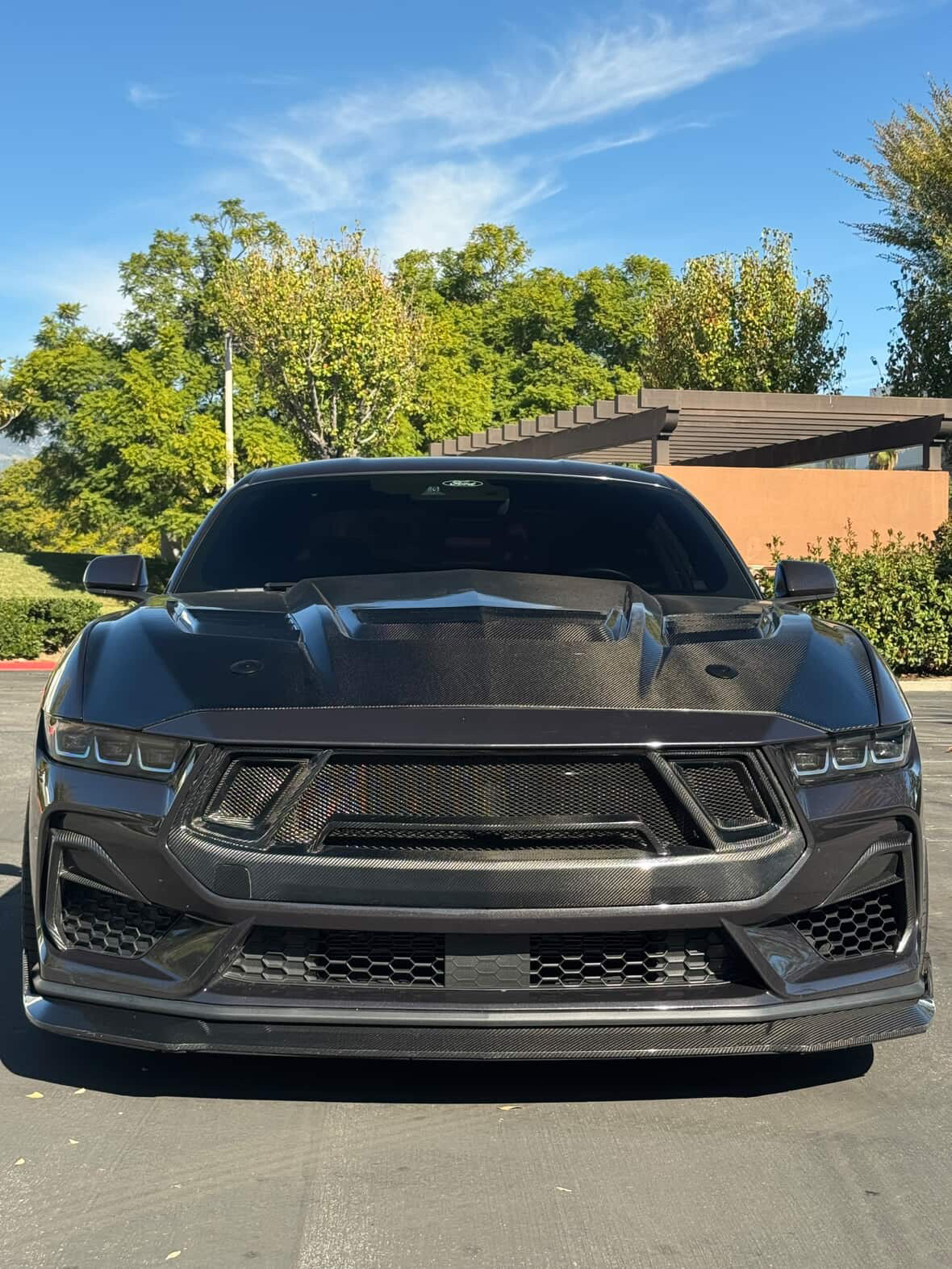 2024+ Mustang GT3 Carbon Fiber Front Bumper Grille