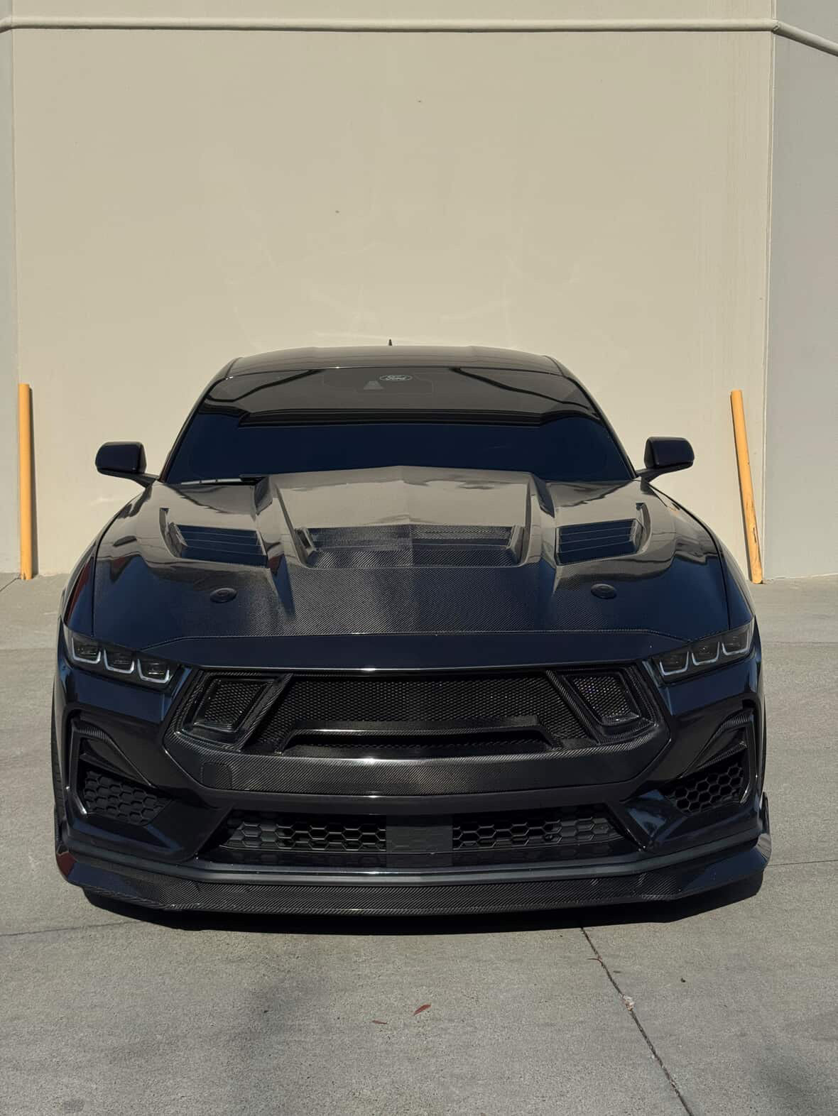2024+ Mustang GT3 Carbon Fiber Front Bumper Grille