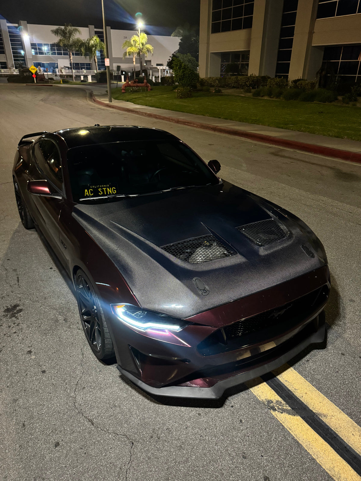 2018 - 2023 Mustang GTD Carbon Fiber Hood