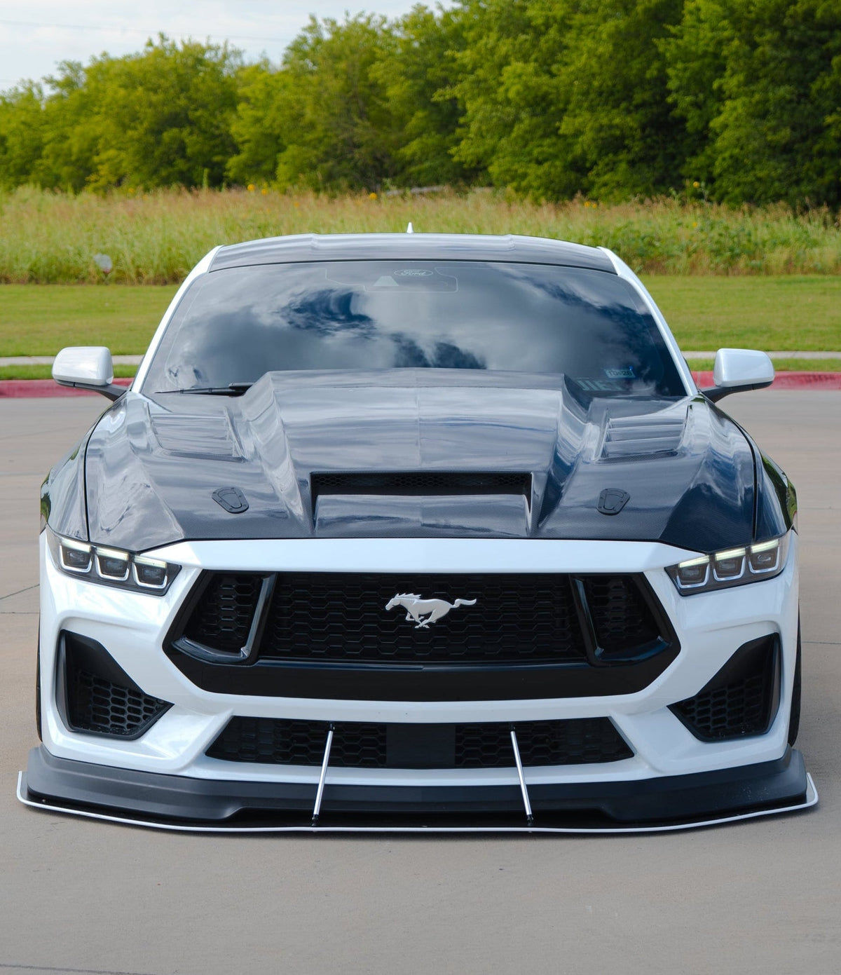 2024+ Mustang Carbon Fiber High Cowl Terminator Hood