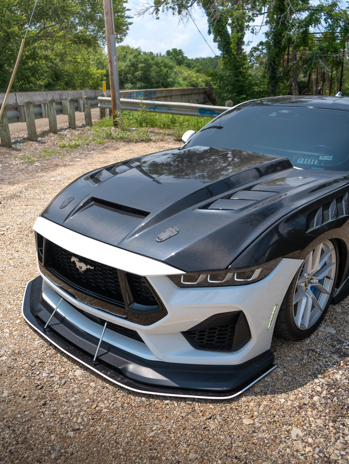 2024+ Mustang Carbon Fiber High Cowl Terminator Hood