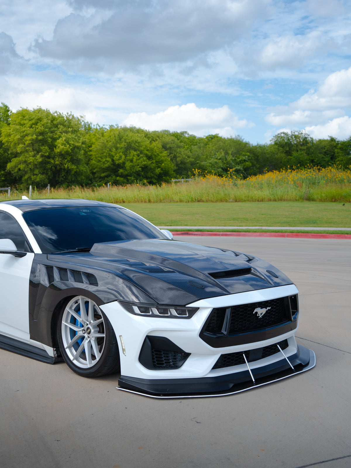 2024+ Mustang Carbon Fiber High Cowl Terminator Hood