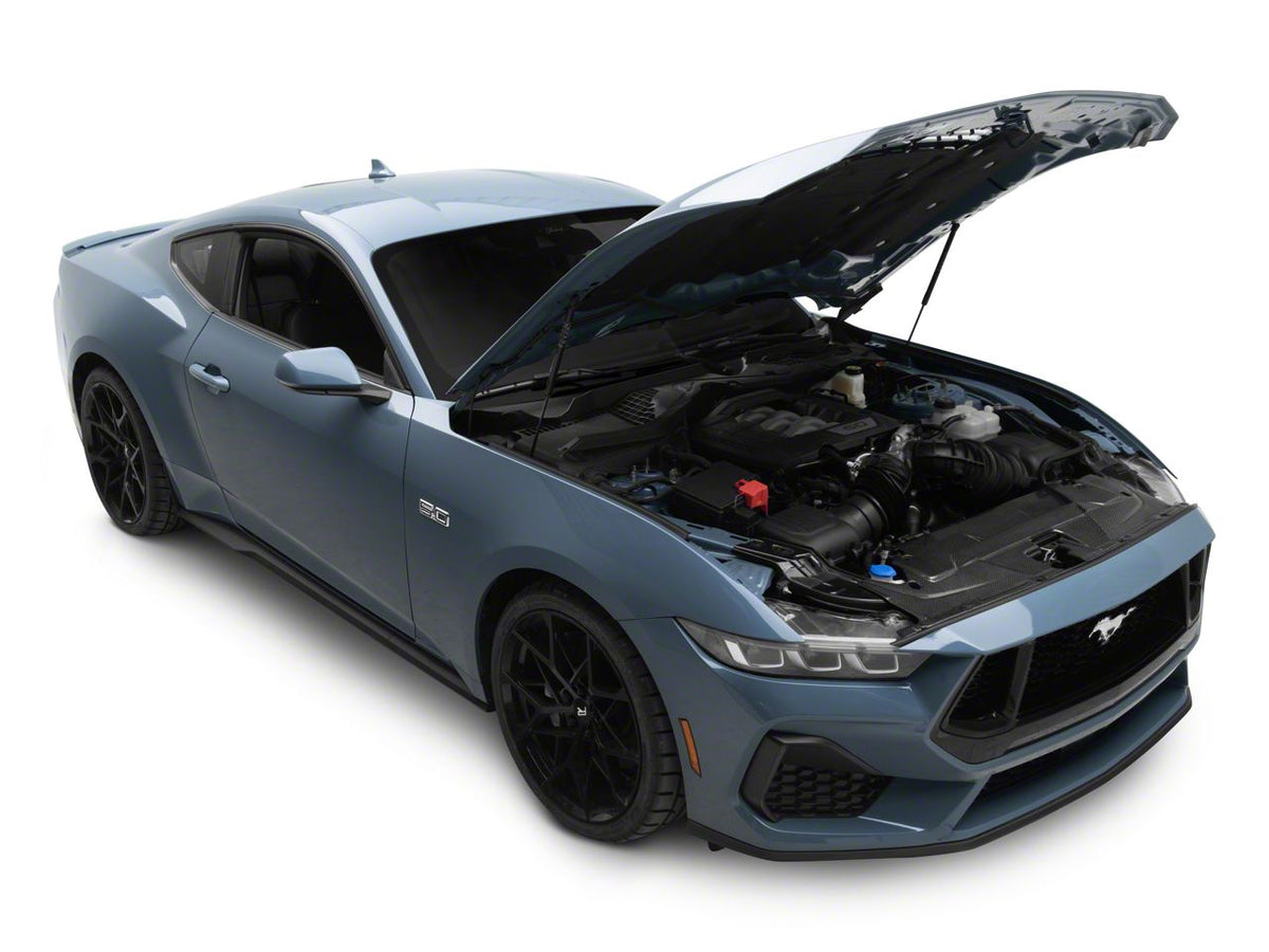 MMD Radiator Cover; Carbon Fiber (24-26 Mustang)