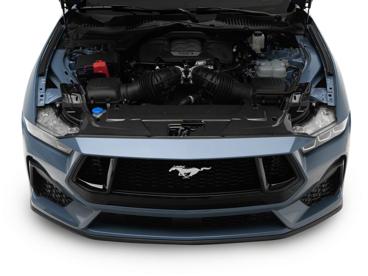 MMD Radiator Cover; Carbon Fiber (24-26 Mustang)