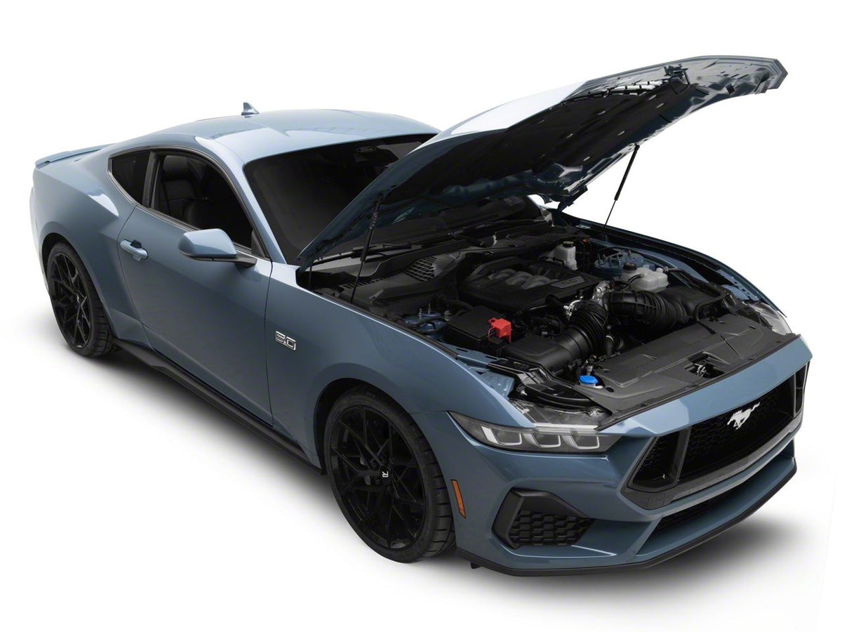 MMD Radiator Cover; Matte Carbon Fiber (24-26 Mustang)