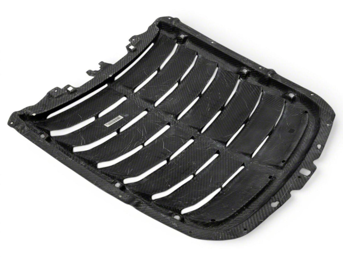Hood Vent; Carbon Fiber (20-22 Mustang GT500)